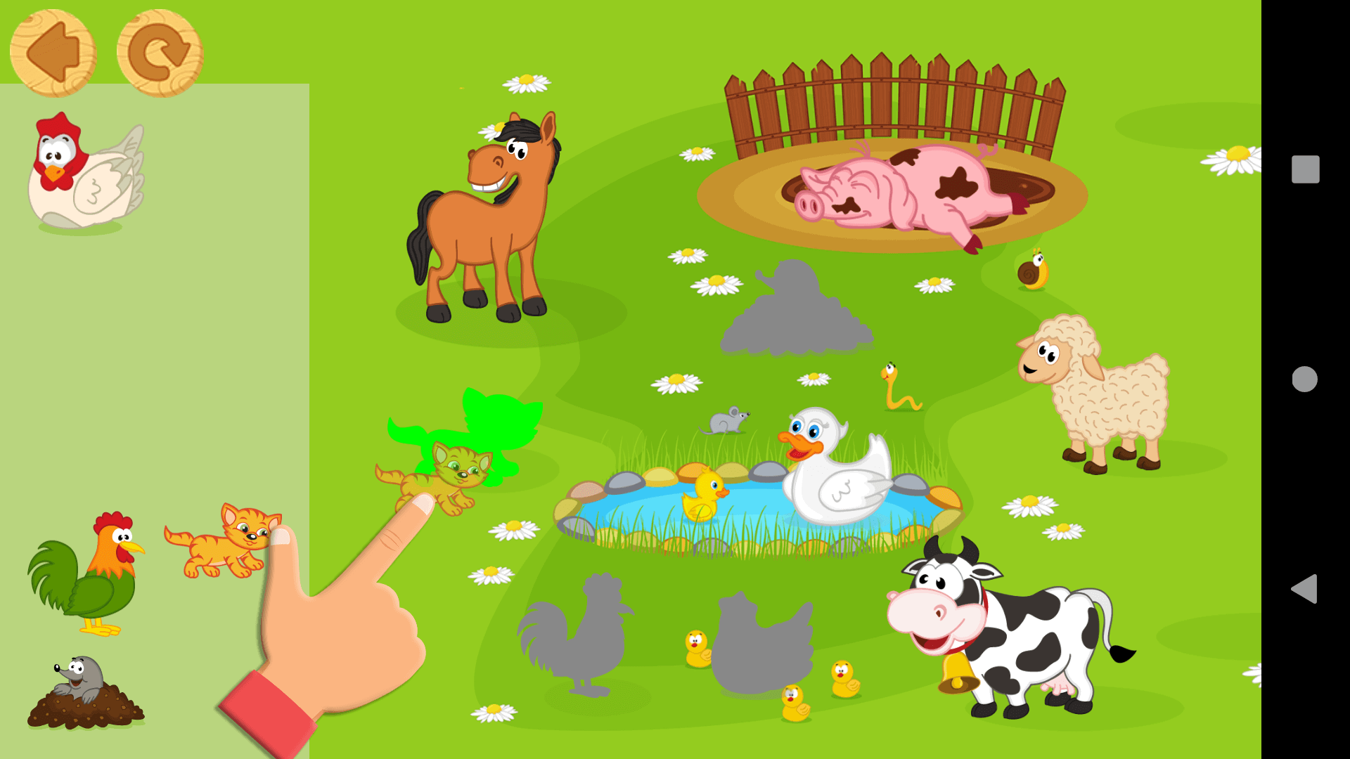 Pets Animals Puzzle For Kids