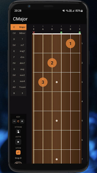 Basic Guitar Chords screenshot