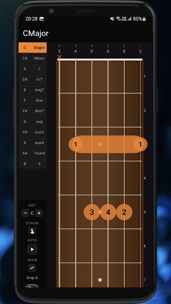 Basic Guitar Chords screenshot